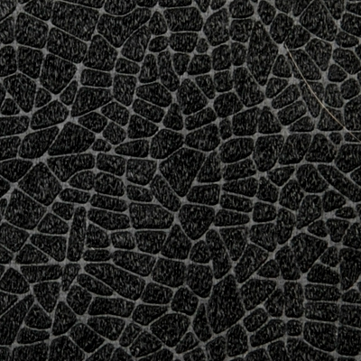 ����� UB Black